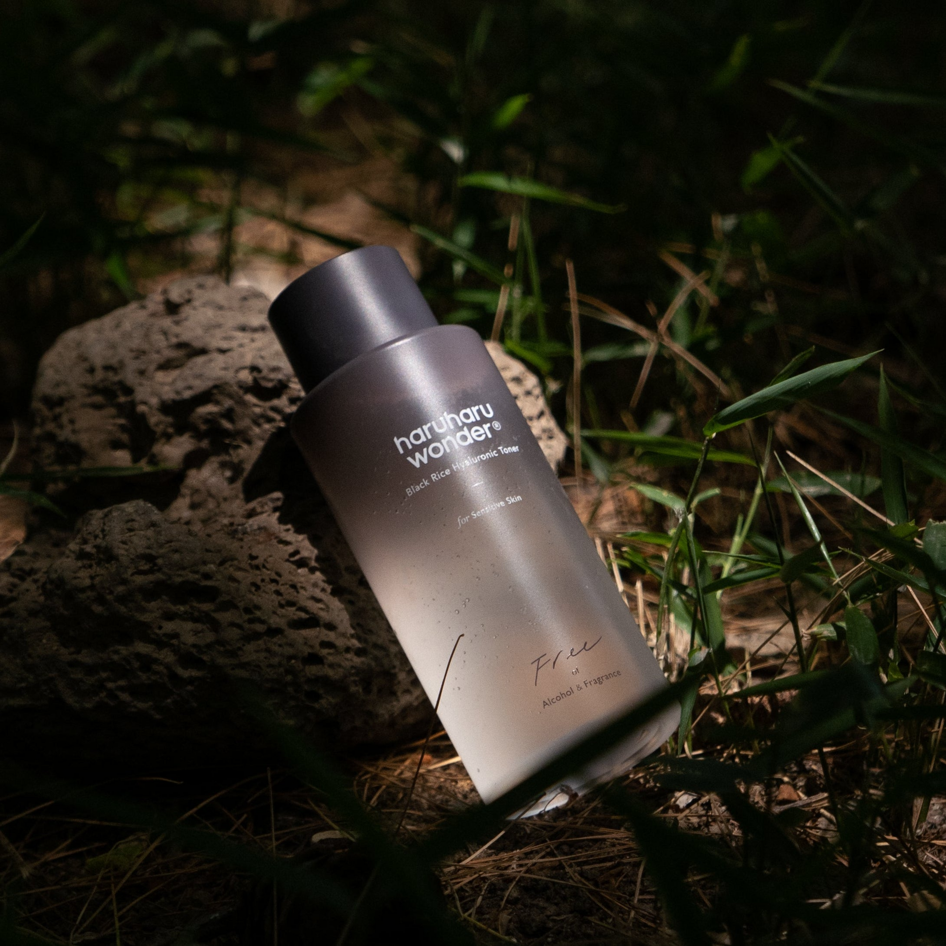 Haruharu Wonder Black Rice Hyaluronic toner på en skogsbakgrund.